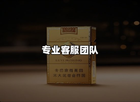 专业优势